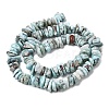Natural Larimar Beads Strands G-A285-A05-01-3