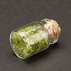 Transparent Glass Wishing Bottle Decoration DJEW-A001-01A-03-2