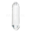 Transparent Glass Big Pendants GLAA-R223-09B-1