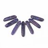 Natural Lepidolite/Purple Mica Stone Beads Strands G-N215-007-1
