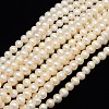 Natural Cultured Freshwater Pearl Beads Strands X-PEAR-L001-F-07-1