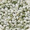 Baking Paint Glass Seed Beads SEED-F006-01A-05-3