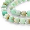 Natural Chrysoprase Beads Strands G-S333-10mm-037-3