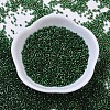 MIYUKI Delica Beads X-SEED-J020-DB0148-2