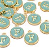 Golden Plated Alloy Enamel Charms ENAM-S118-05F-4