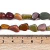 Natural Alashan Agate Beads Strands G-Q060-E19-02-5
