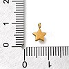 304 Stainless Steel Charms STAS-R159-58G-04-3