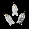 Natural Quartz Crystal Pendants X-G-A297-01G-14-1