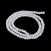 Transparent Glass Beads Strands EGLA-A044-T1mm-MB19-4