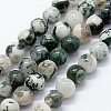 Natural Tree Agate Beads Strands X-G-I199-03-4mm-1