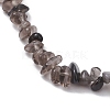 Natural Gemstone Beads Anklets AJEW-AN00583-08-2