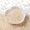 Baking Paint Glass Seed Beads SEED-S042-15A-02-2