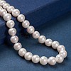 Natural Cultured Freshwater PearlBeads Strands PEAR-G007-25-4