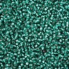 11/0 Grade A Transparent Glass Seed Beads X-SEED-Q007-F50-2