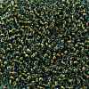 TOHO 8/0 Round Beads SEED-JPTR08-1014-2