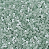 MIYUKI Delica Beads X-SEED-J020-DB0829-3