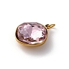 316 Stainless Steel Faceted Glass Pendants STAS-K258-47G-05-2