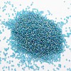 6/0 Round Glass Seed Beads SEED-J011-F6-179-2