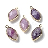 Natural Lepidolite/Purple Mica Stone Pendants G-B009-01G-01-1