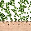 Glass Seed Beads SEED-L011-02B-02-4