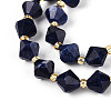 Natural Lapis Lazuli Beads Strands G-T144-23A-02-3