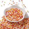 Baking Paint Glass Seed Beads X-SEED-S042-05A-07-2