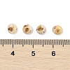 Picasso Glass Seed Beads SEED-Q038-03H-2
