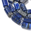Natural Lapis Lazuli Beads Strands G-C270-K10-4