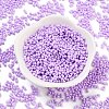 Baking Paint Glass Seed Beads SEED-A033-05J-2