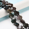 Natural Indian Agate Beads Strands G-K357-C10-01-2