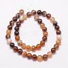 Natural Striped Agate/Banded Agate Bead Strands G-K166-13-10mm-02-2