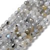 Natural Labradorite Beads Strands LS-G-I341-11-2