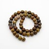 Natural Petrified Wood Round Bead Strands G-P070-64-4mm-2