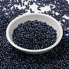 MIYUKI Round Rocailles Beads SEED-X0055-RR3539-2