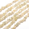 Natural White Moonstone Chip Bead Strands G-M205-65-1