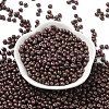 6/0 Glass Seed Beads SEED-L011-08A-08-2