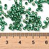 Glass Seed Beads X-SEED-S042-04B-28-4