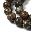Natural Turquoise Beads Strands G-P506-04D-03-3