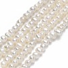 Natural Cultured Freshwater Pearl Beads Strands PEAR-F018-01B-1