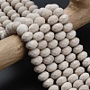 Natural Petrified Wood Beads Strands G-Z111-A37-1