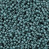 MIYUKI Delica Beads SEED-X0054-DB2407-2