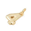 Brass Charms KK-G544-10G-04-2