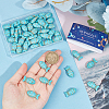 50Pcs Synthetic Turquoise Dyed Beads G-SC0002-60-3