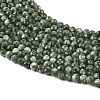 Natural Seraphinite Beads Strands G-K376-A02-4mm-4
