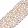 Natural Cultured Freshwater Pearl Beads Strands PEAR-N012-02G-3