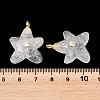 Natural Quartz Crystal Pendants G-H353-01G-02-3