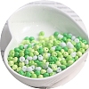 Macaron Baking Paint Glass Seed Beads PW-WGB8861-04-1