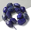 Natural Lapis Lazuli Beads Strands G-H095-A09-01-2