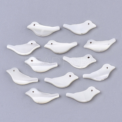 Natural Trochid Shell/Trochus Shell Beads SSHEL-T014-05-1