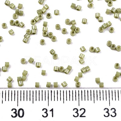 FGB 11/0 Grade A Baking Paint Glass Seed Beads X-SEED-S030-1037-1